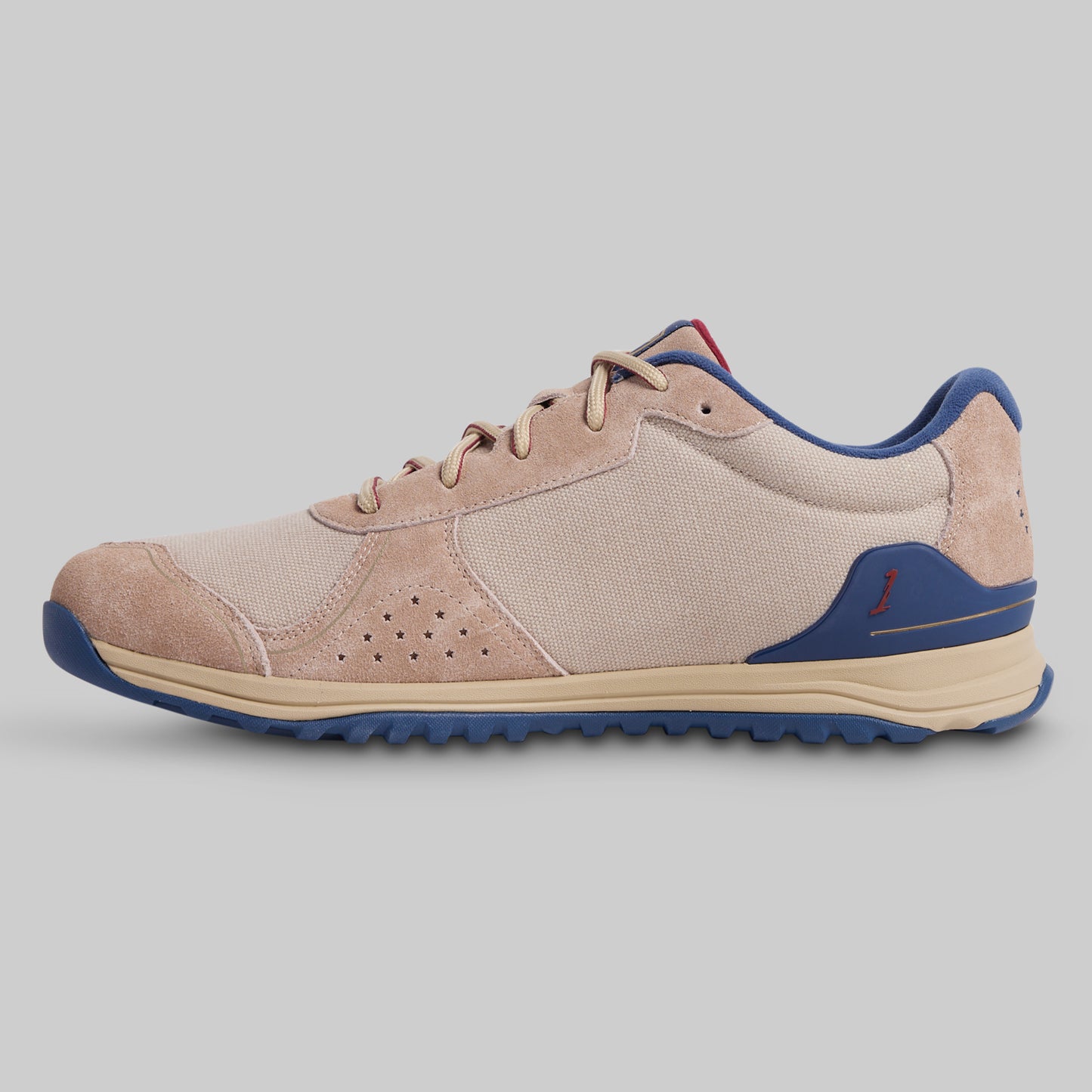 Beige and blue sneaker on a gray background